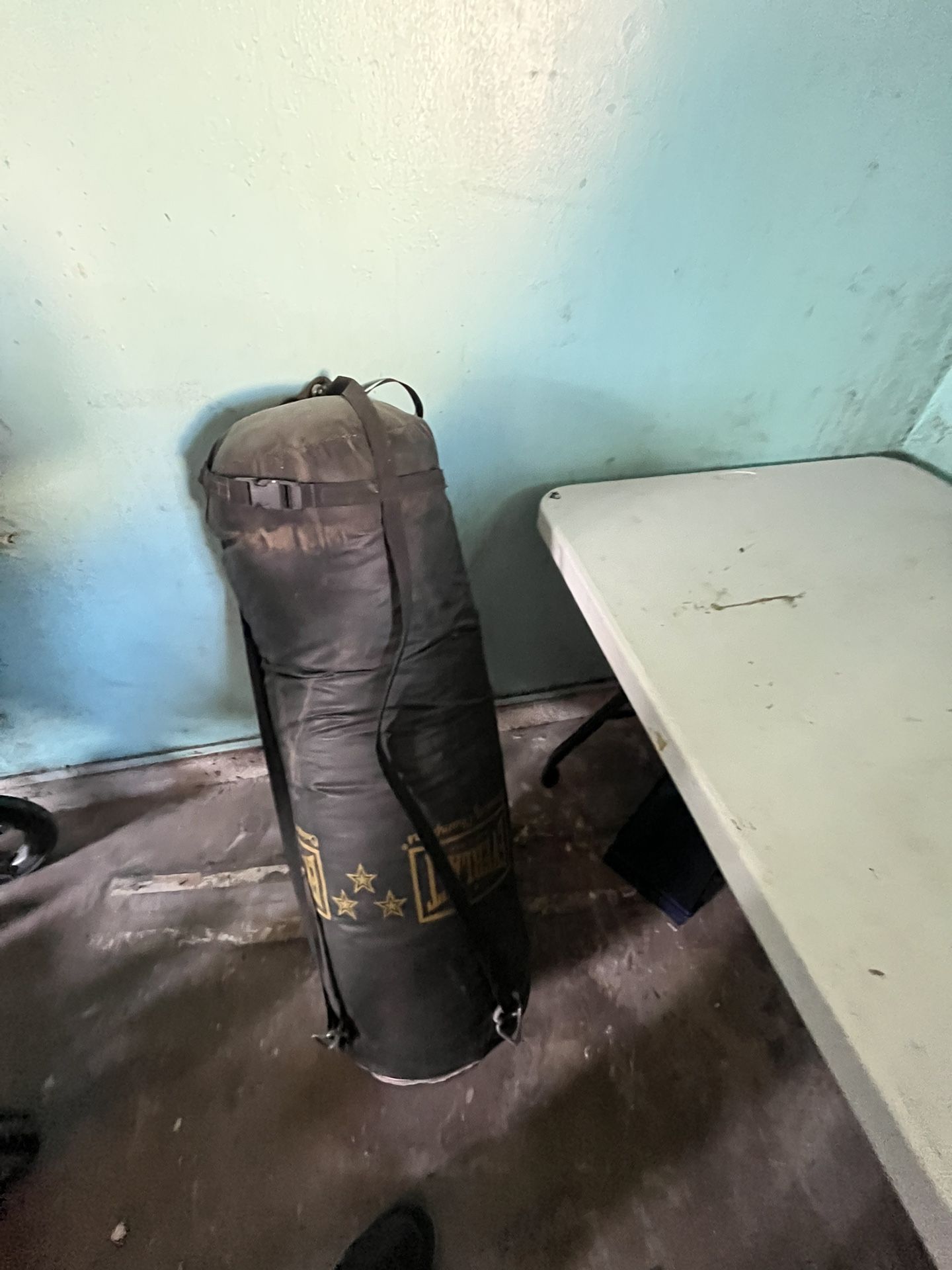 Everlast Punching Bag (need Gone )
