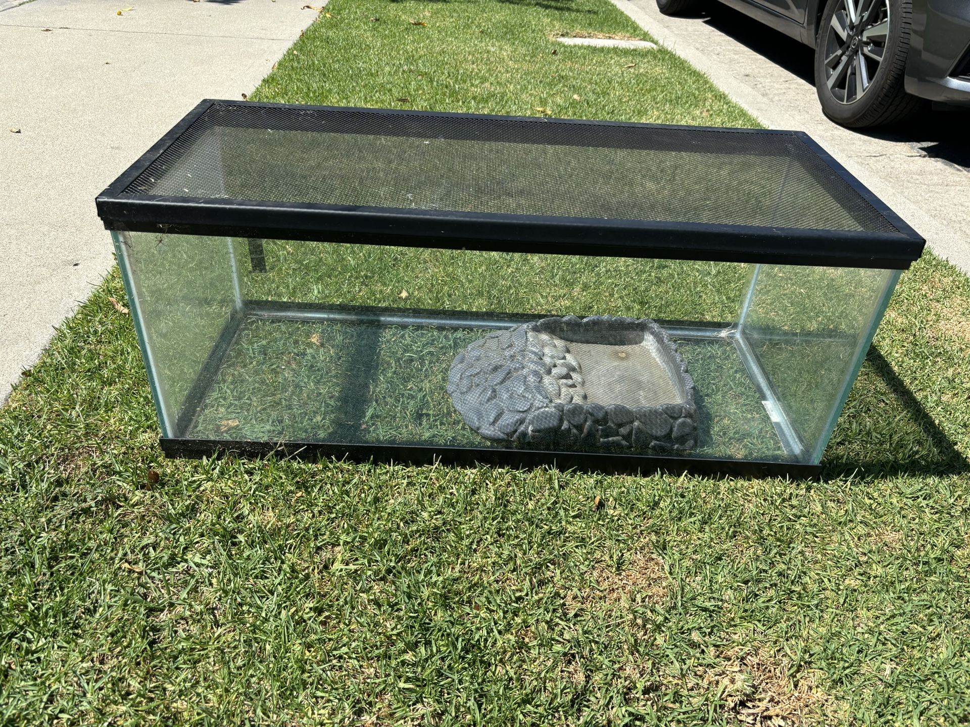 Fish Tank With Rock Used For A Turtle