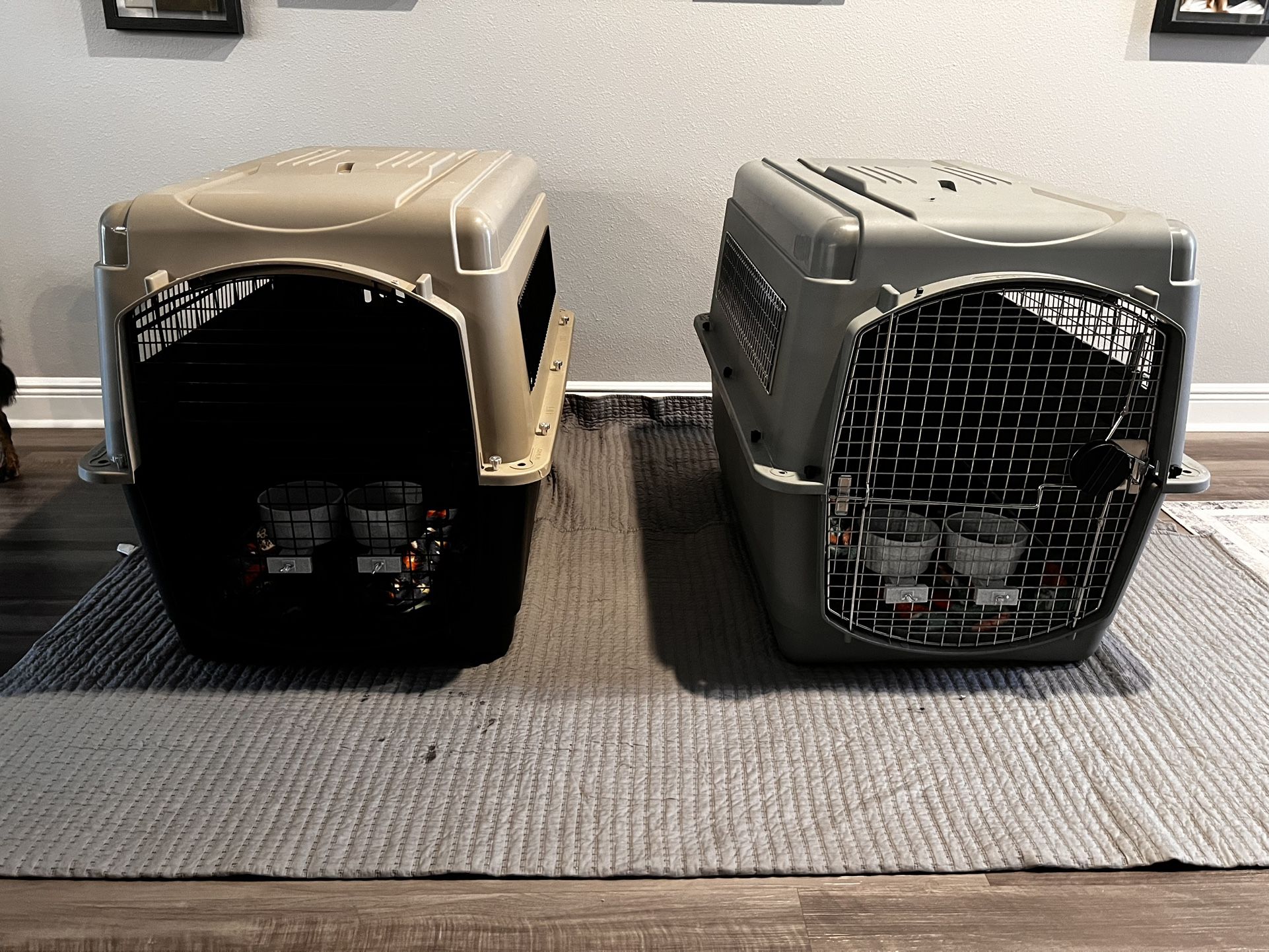 Pet Sky kennel for Air Travel