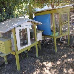 Pet Homes $40. Each