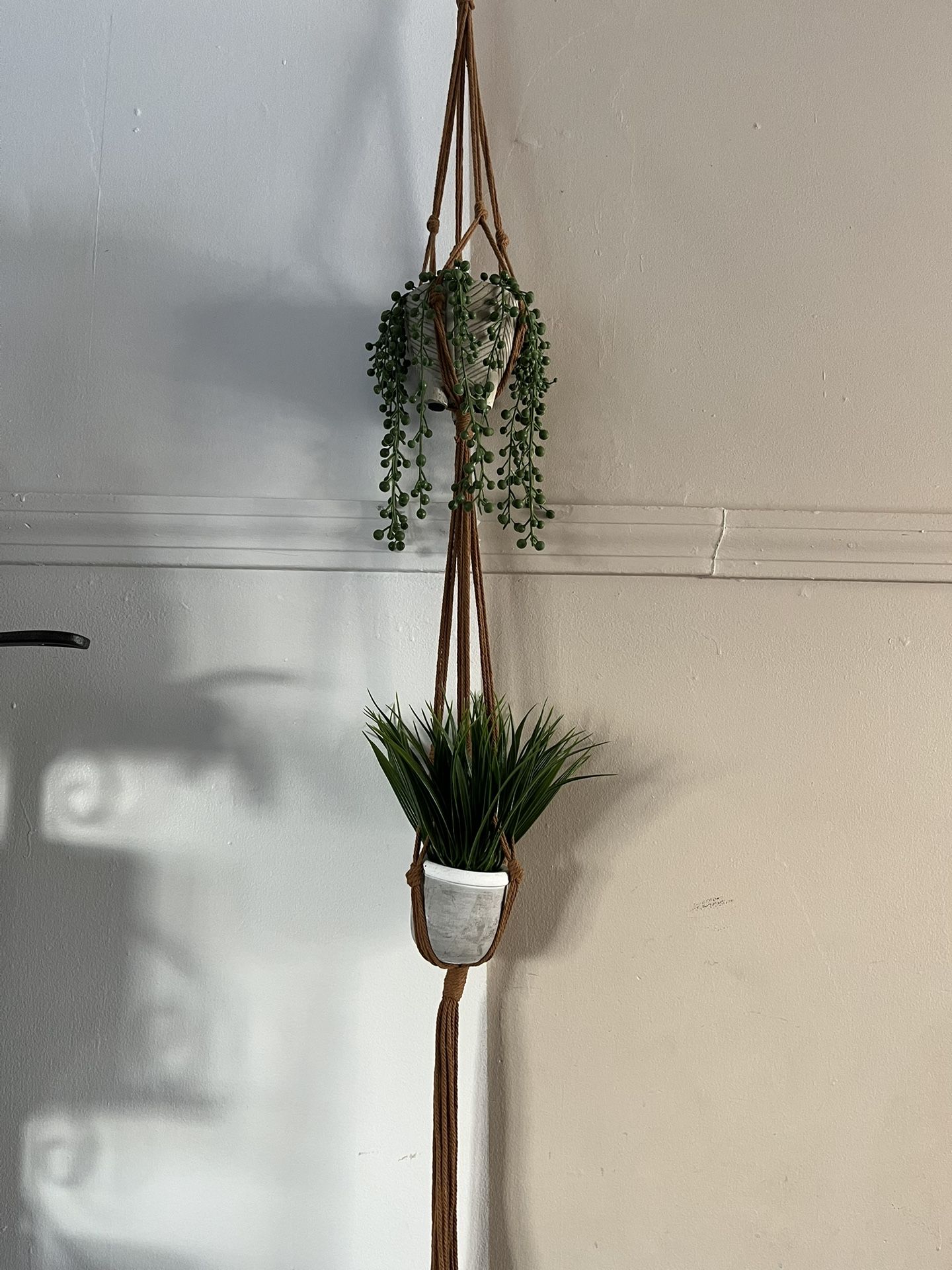 Plant Hangers With Plants