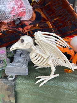 Halloween decor bird skeleton