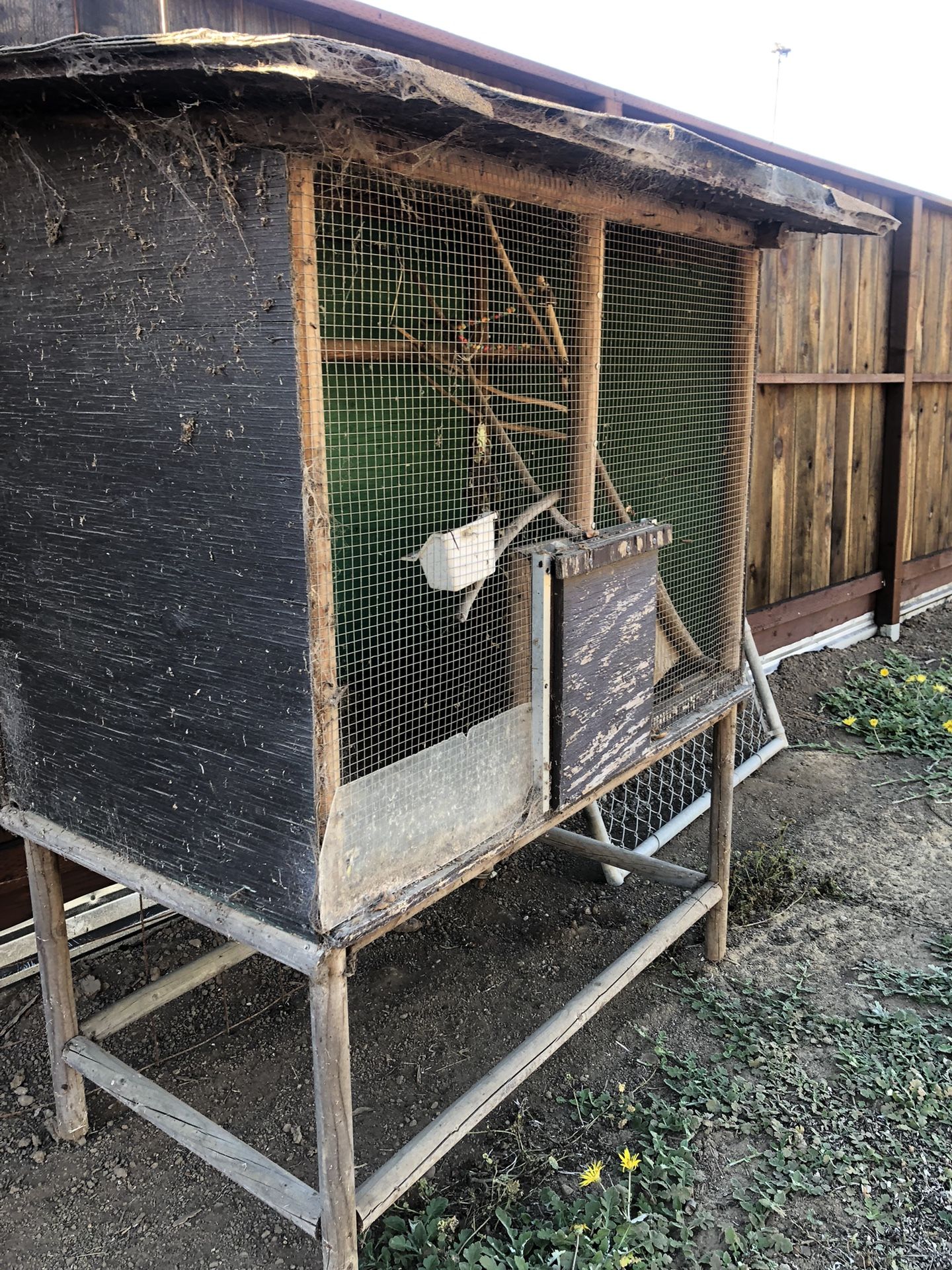 Bird Cage Or Chicken Coop