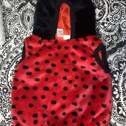 Lady Bug Costume 