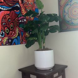 Living Room Fake Plant 