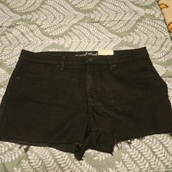 Short Shorts Sz 14