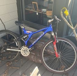 Mountain Bike