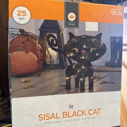 Sisal Black Cat Indoor/Outdoor Light Up Decor