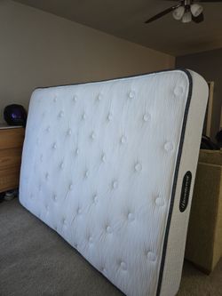 Free Full Size Mattress