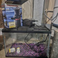 Fish Tank