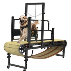 Pawpaw Dog Treadmill 
