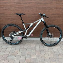 2019 Specialized Stumpjumper Evo (Medium/S3)(upgraded)
