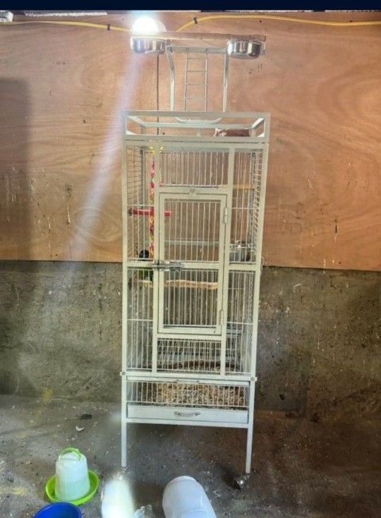 Bird Cage Great For Sun Conure