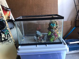 Fish tank