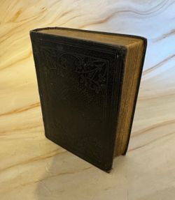 Antique Holy Bible 1881