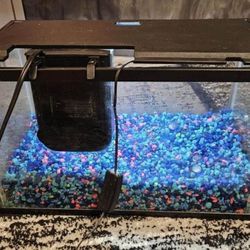 Aquarium 5 Gallon Fish Tank