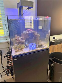 Red Sea Reefer 170 Sump + Stand