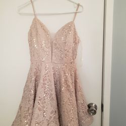Sparkly Dress