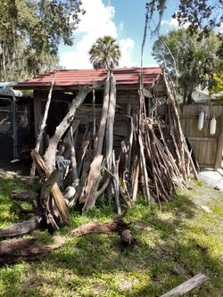 Driftwood in Riverview