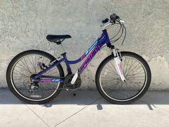 Girls Schwinn bike