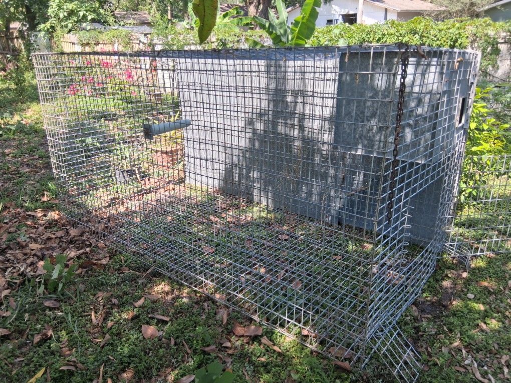 Extra Large Cage