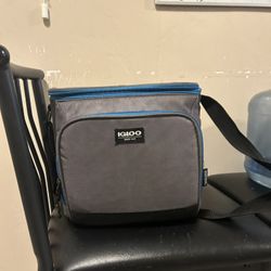 Igloo Lunch Bag