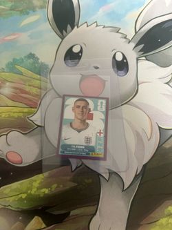 Panini Sticker