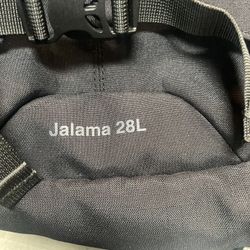  Brand New Patagonia Backpack