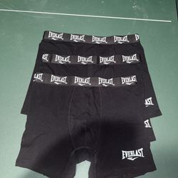 Everlast deals boxer briefs