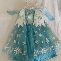 Disney Store Frozen Elsa Dress Size 3