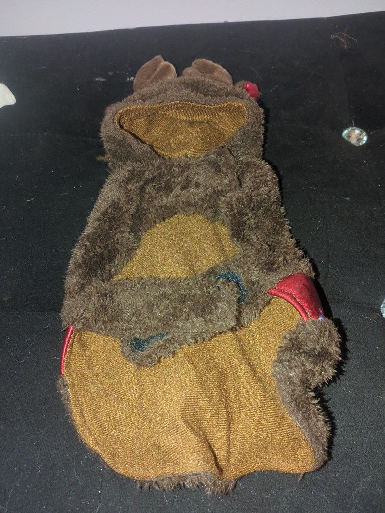 Dog Costumes   /  $4 each