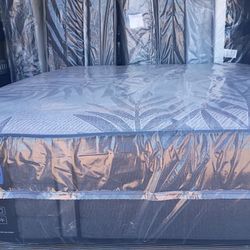 Brand New Queen Size Plush Sealy Mattress And Box Spring Free Delivery 