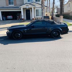 2005 Ford GT