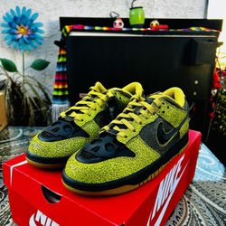 Nike dunks men’s Size 9.5