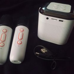 Mini Karaoke Bluetooth Speaker With 2 Mics,$18New In Box