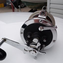 Daiwa Sealine 600h