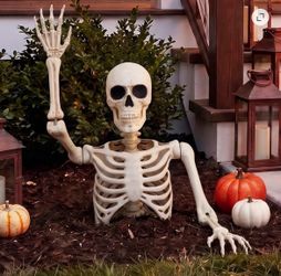 Giant Groundbreaking Skeleton