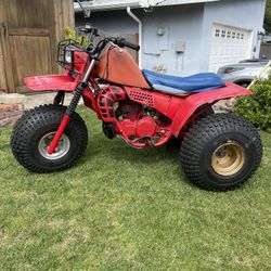 1982 Atc 250R