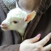Emmie