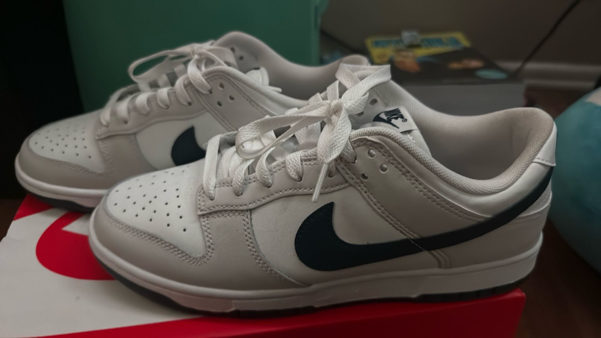 Nike Dunks 