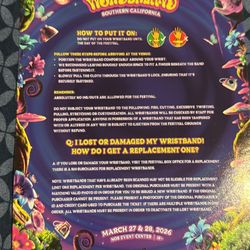 Beyond wonderland Saturday wristband