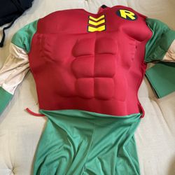 Robin Costume 