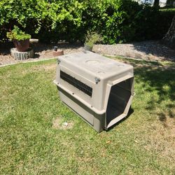 Very decent large size dog house.....NO front gate