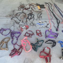 HORSE TACH, 15 Halters, 8 Lead Ropes Head Sets ,Bits