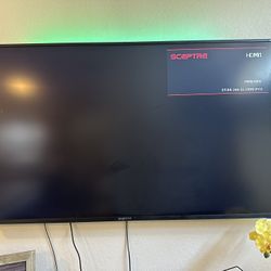 65 Inch Scepter Smart TV Comes With Roku!
