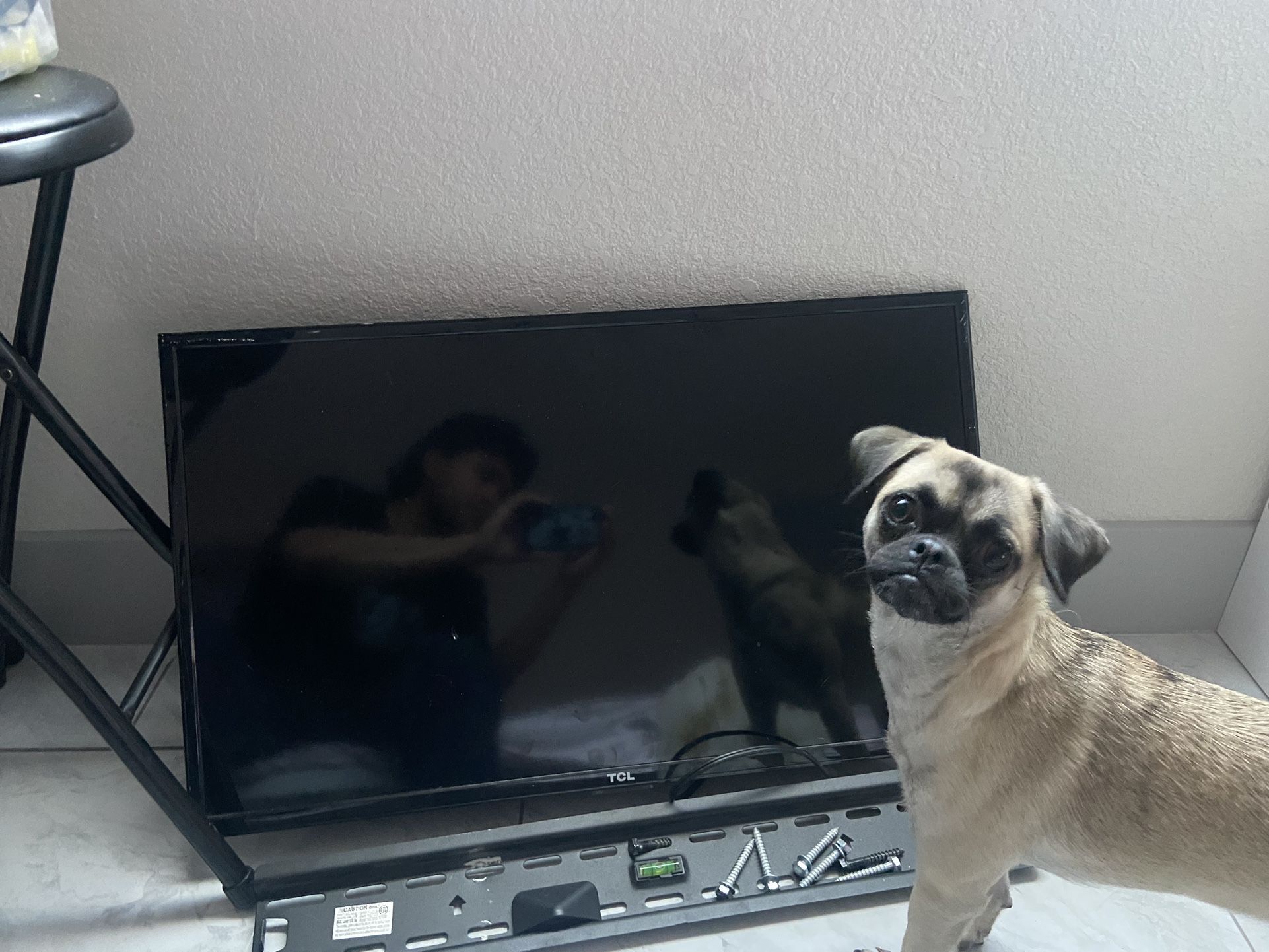 Roku Tv 28x24