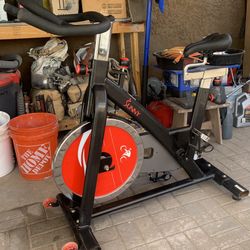 Sunny Bicycle Workout Equipment 