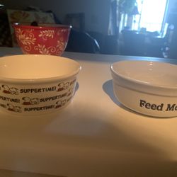2 Dog Bowls Snoopy