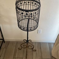 Bird Cage