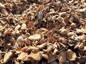 almond shells for sale